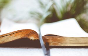 22nd Sunday of Ordinary Time, Year C