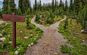 5th Sunday of Easter- On Getting Lost and Alternative Destinations