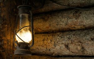 32nd Sunday of Ordinary Time – Of Empty Shelves and Leaky Roofs