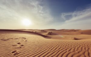 2nd Sunday of Ordinary Time – “What Are You Looking For?”