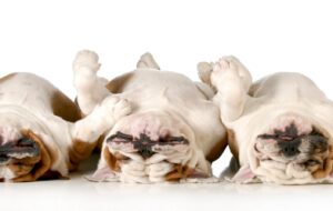25th Sunday of Ordinary Time, Year B – An Upside-Down Version of Great