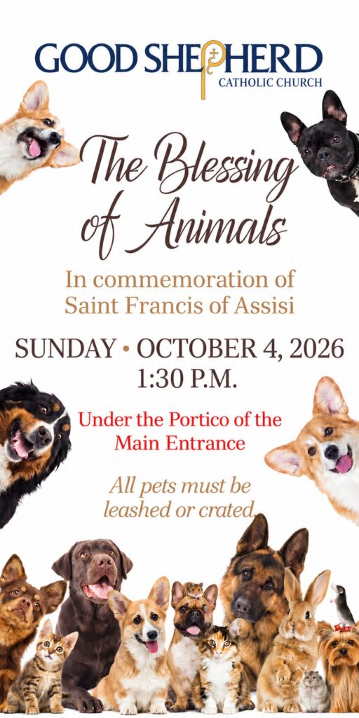 The Blessing of Animals