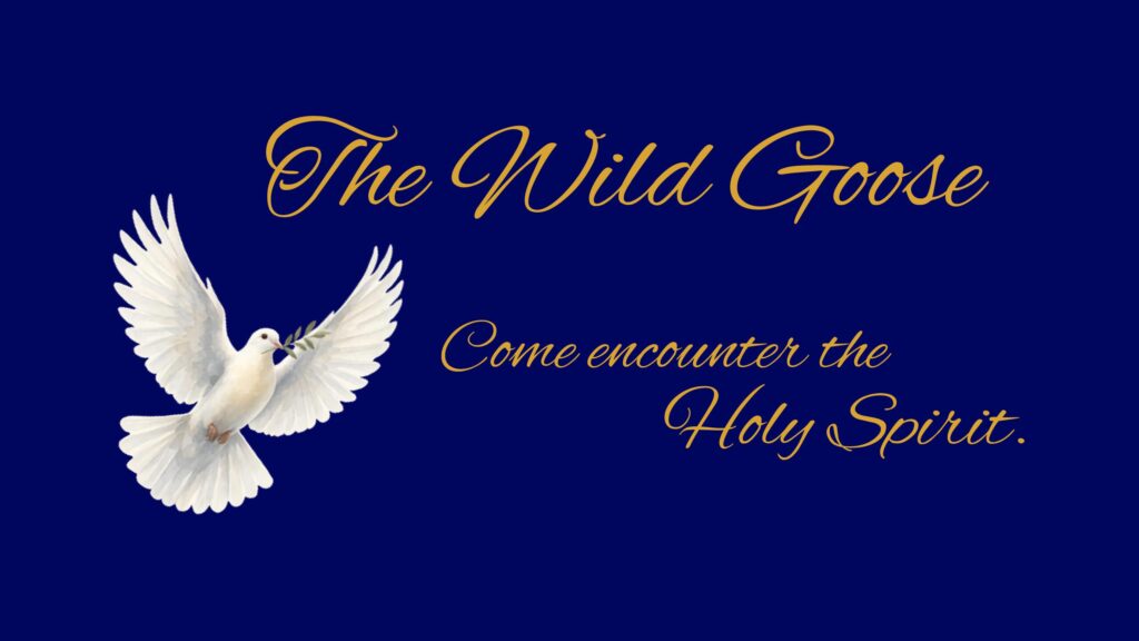 The Wild Goose