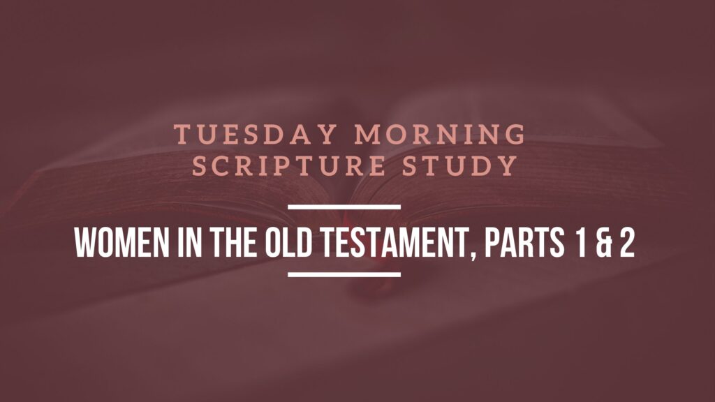 Tuesday Morning Scripture Study