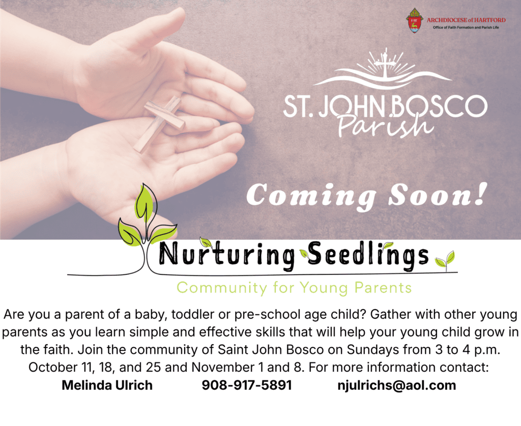 Nurturing Seedlings