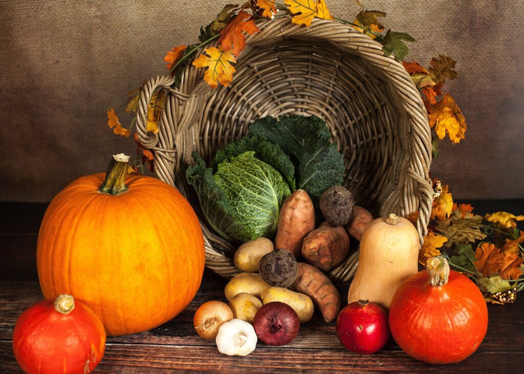 Social Concerns November Collections