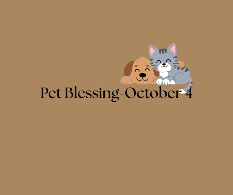 Pet Blessing
