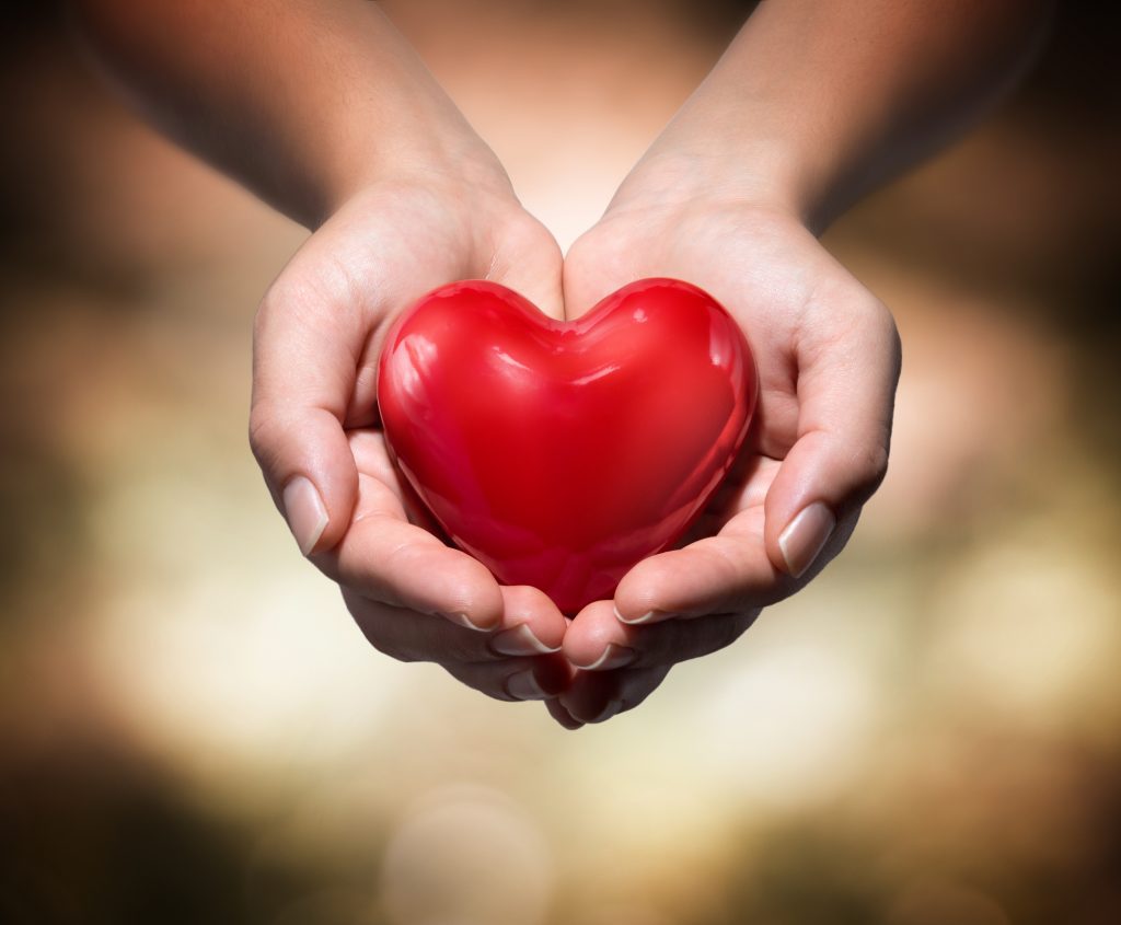 heart in heart hands