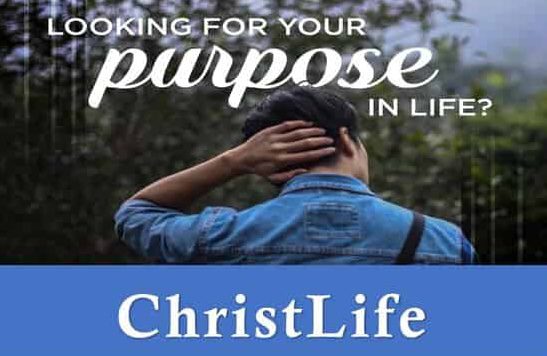 Looking for your purpose in life?