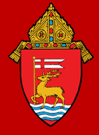 Office of Safe Environment