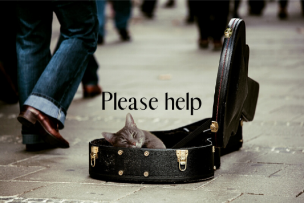 How Can I Help?
