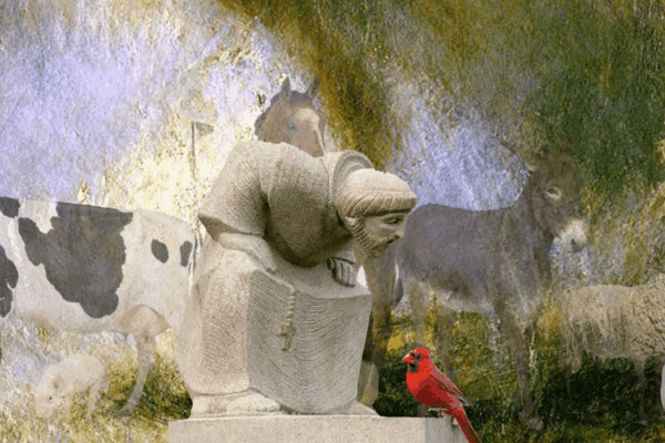 Blessing of the Animals<br />October 3
