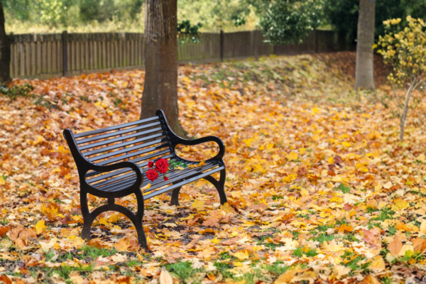 Grief & Bereavement Group Schedule<br />2026-2027