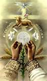 Wednesday Mass Change