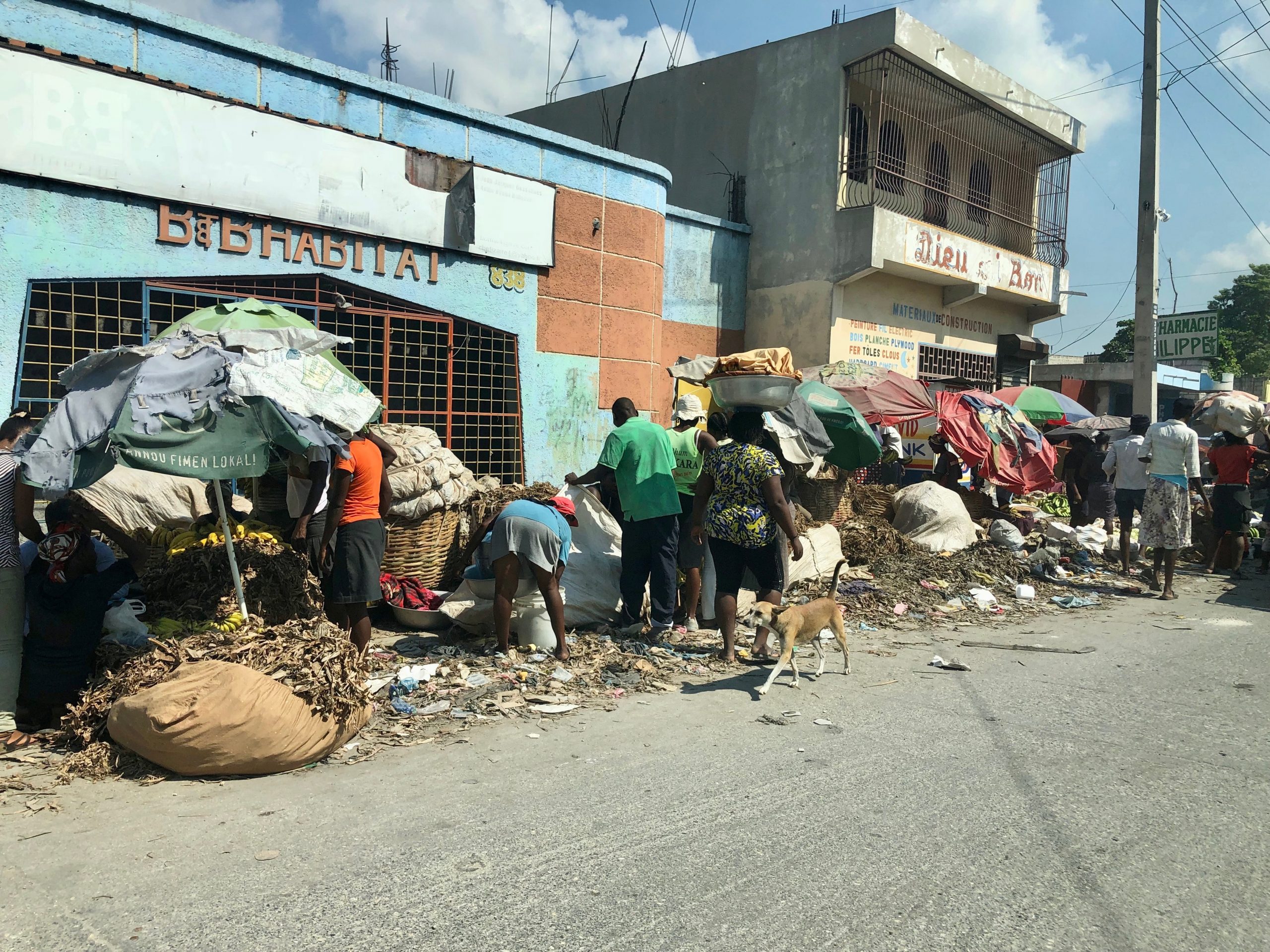 Haiti Natural Disaster Collection 2021