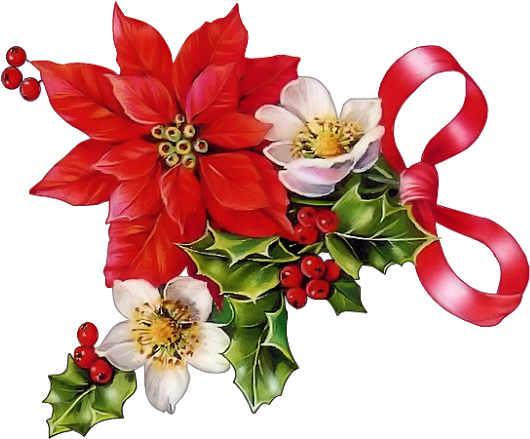 CHRISTMAS POINSETTIAS