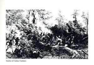 img017 (2)