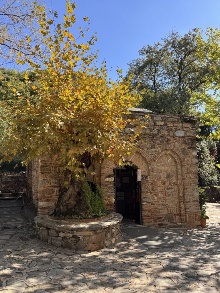 The House of Mary behind a tree with yellow autumn leaves