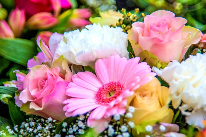 Little Flowers Girls Club
