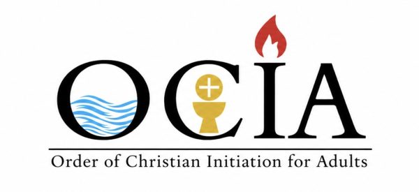 Do You Want to Become Catholic?