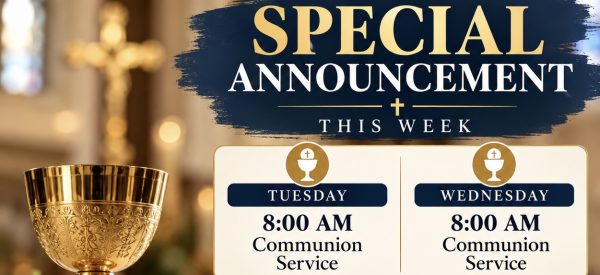 This Weeks Daily Schedule