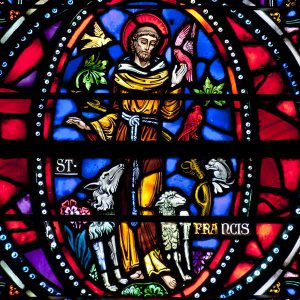 Reflecting on the Saints