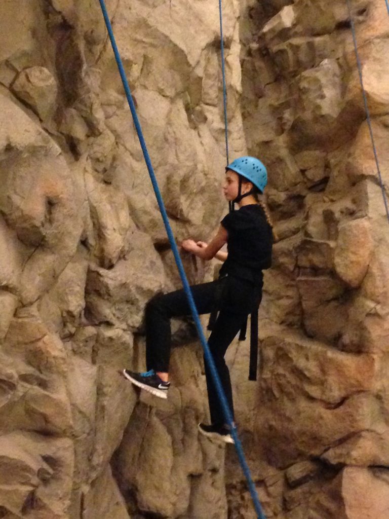 Wolf Ridge Climbing Wall