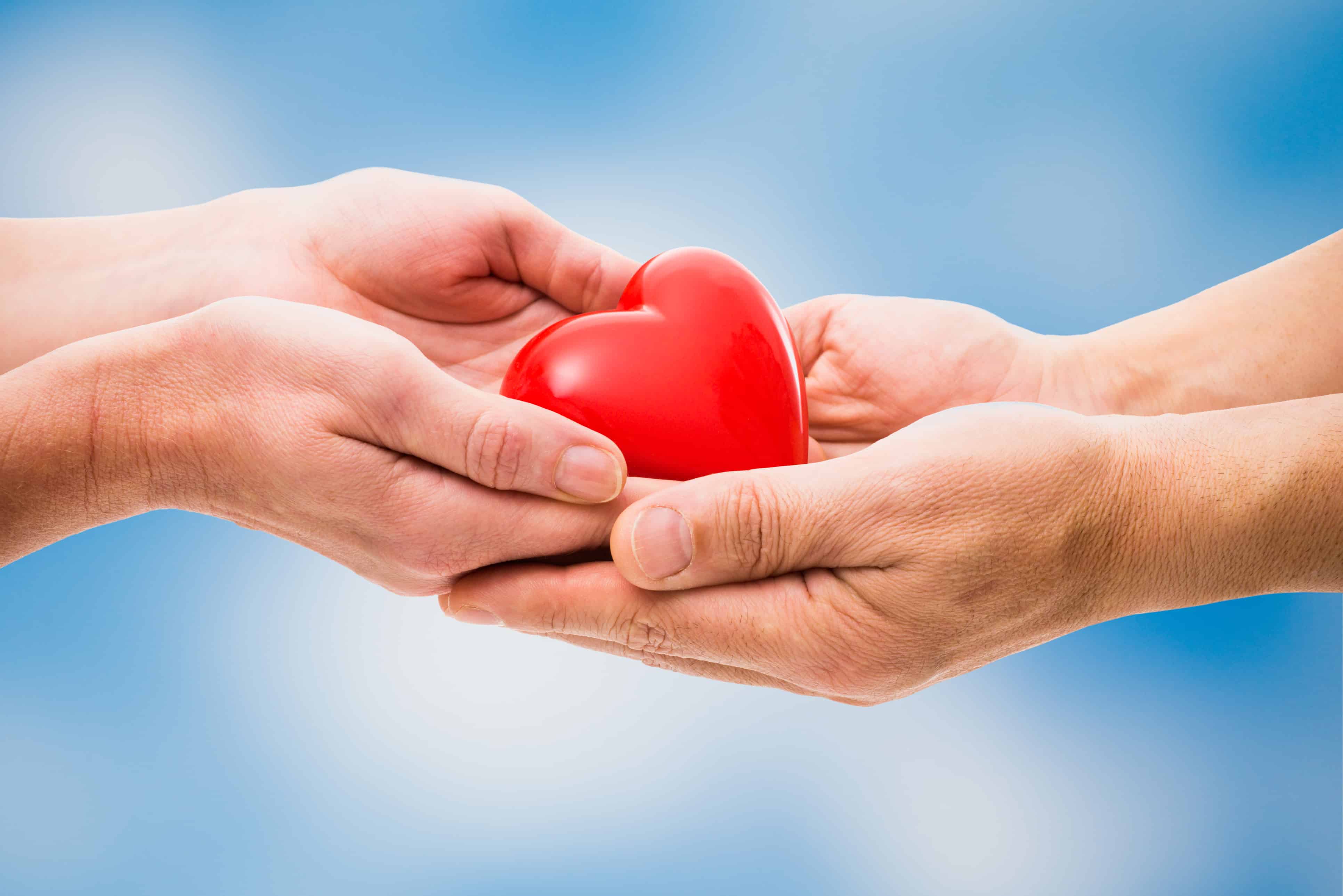 Have You Left Your Parish in Your Will or Trust?
