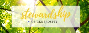 STEWARDSHIP banner image
