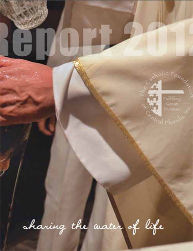 2012 Impact Report image