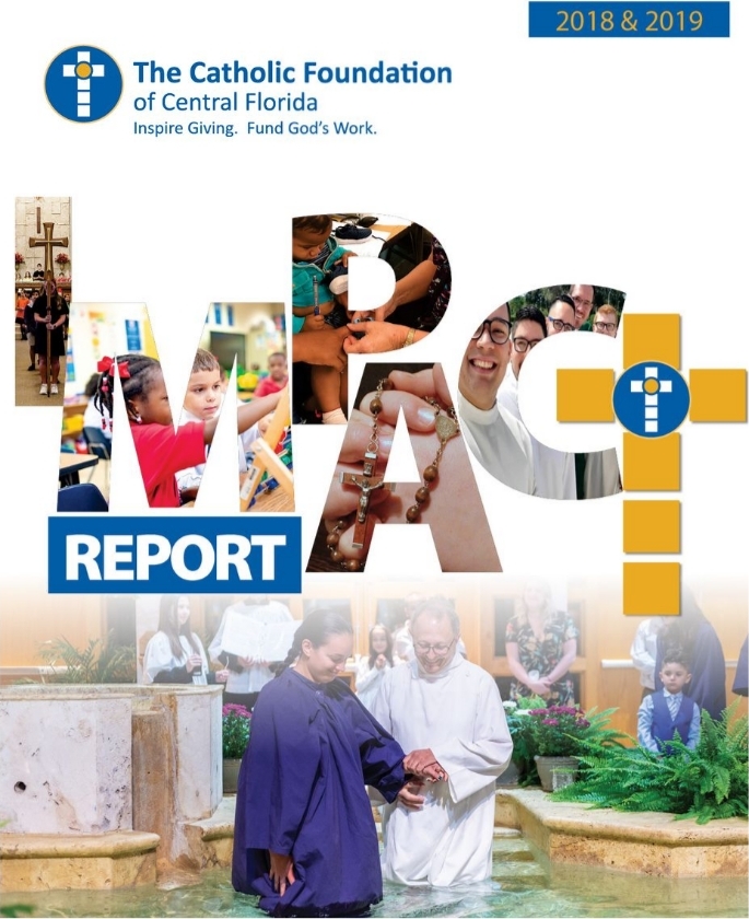 2018 & 2019 Impact Report image