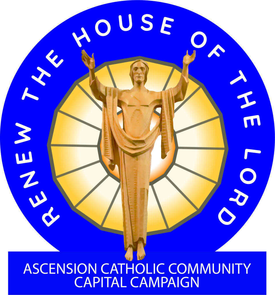 ACC Campaign Logo