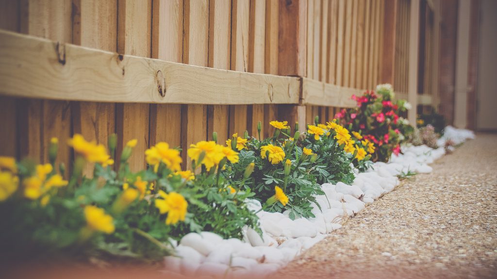 http://flowers%20near%20fence