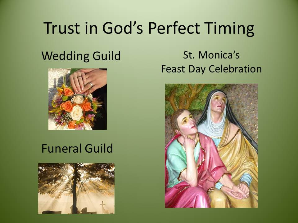 Slide5