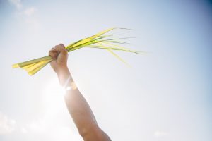 Discipleship and Mission