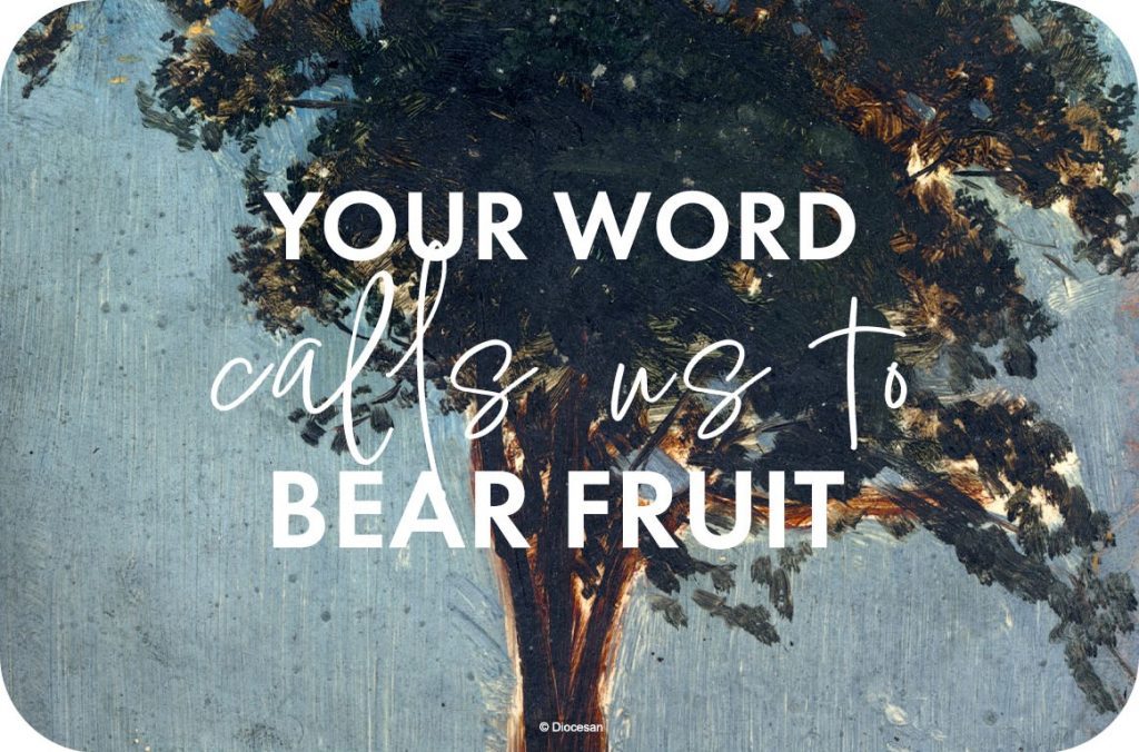 Your Word calls us to bear fruit. July 12, 2026. The 15th Sunday in Ordinary Time. Homily, sermon, preaching, preist, preacher, pastor, Gospel reading, Gospel message.