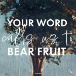 Your Word calls us to bear fruit. July 12, 2026. The 15th Sunday in Ordinary Time. Homily, sermon, preaching, preist, preacher, pastor, Gospel reading, Gospel message.