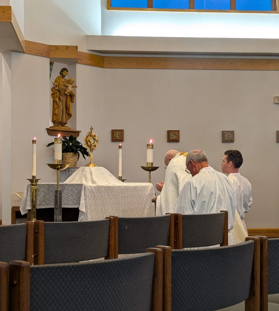 Adoration, prayer, prayer team, rosary, seven sisters apostolate, millions of monicas