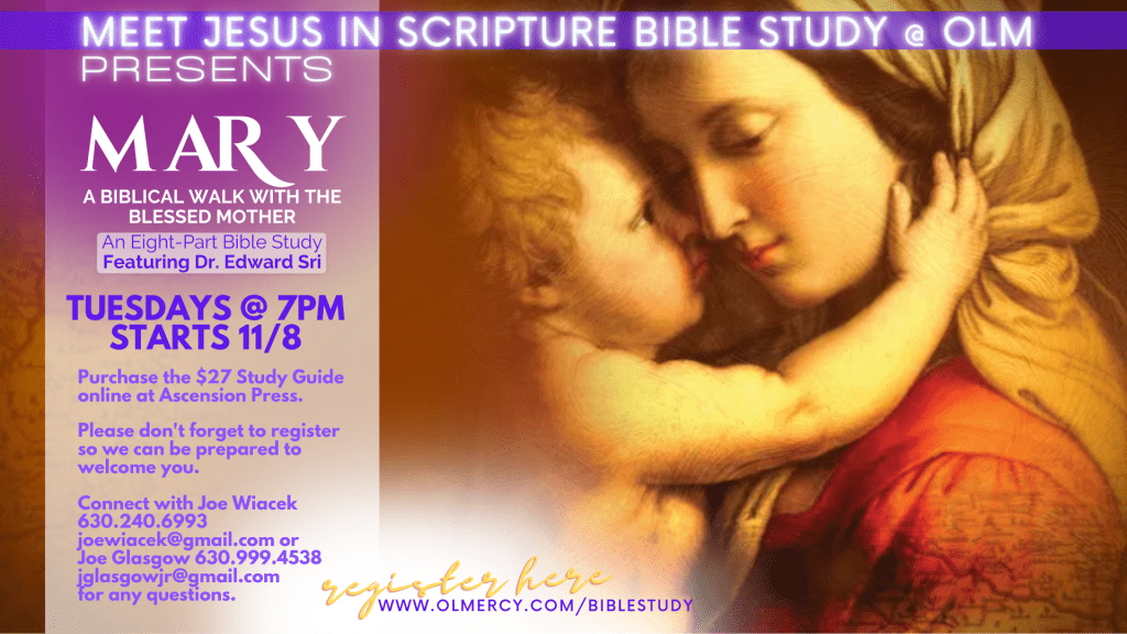 Bible Study Nov 2023