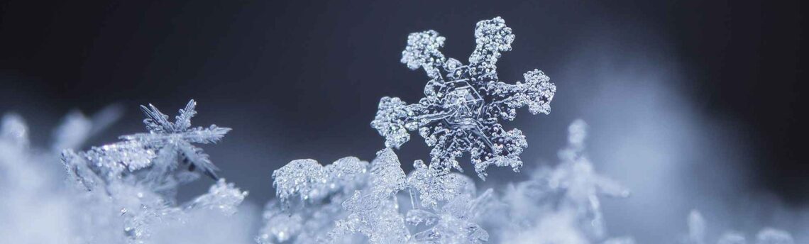 Weekday Mass Weather Policy