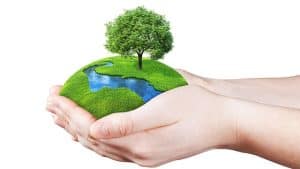 Laudato Si Trailer & Film
