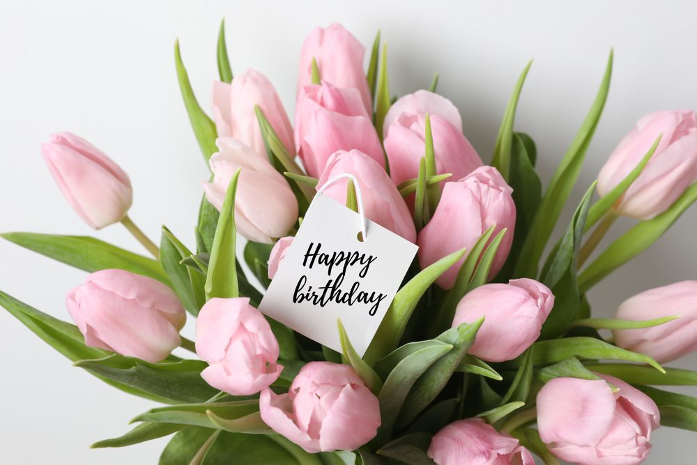 Happy 100th Birthday, Palm Harbor!