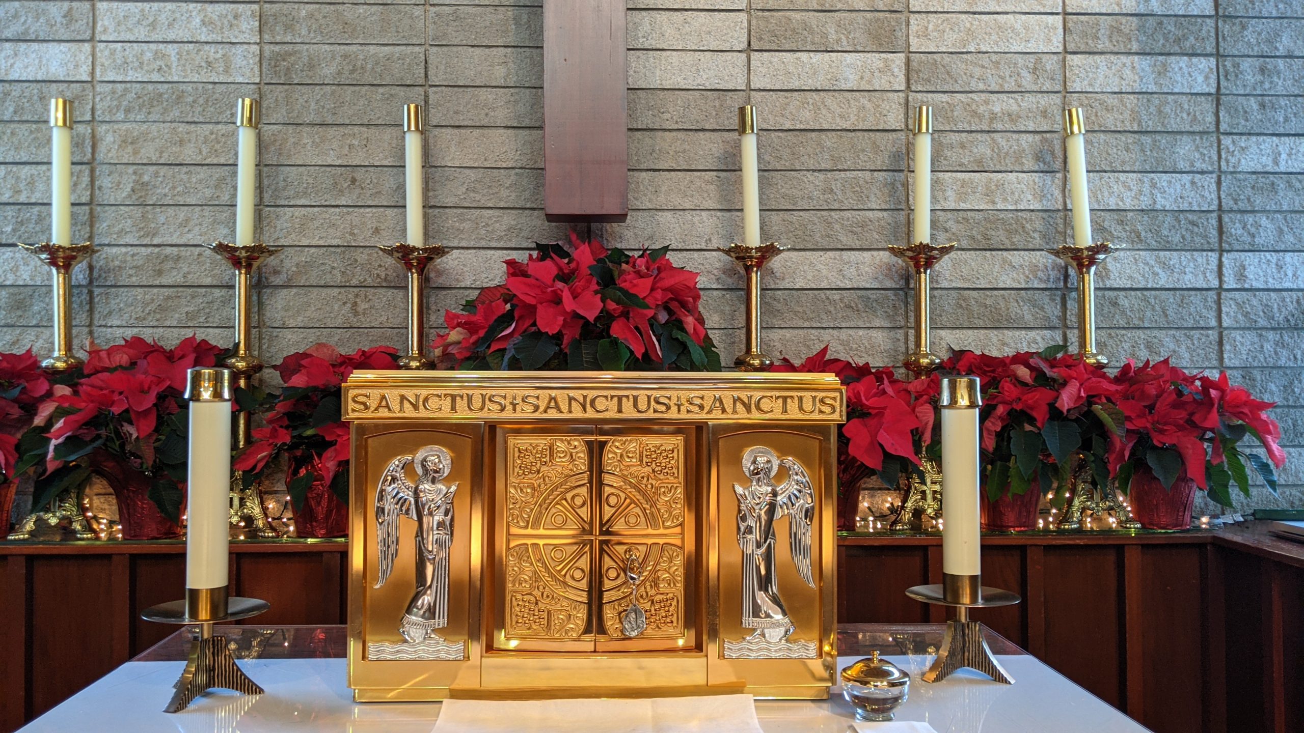 Extraordinary Minister of Holy Communion