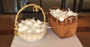 photo (26)