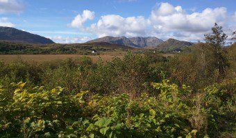 IMG_20151012_070436