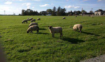 IMG_20151013_100320
