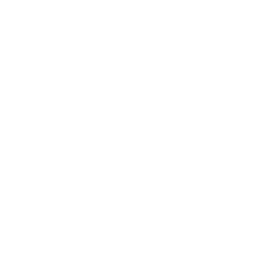 Mass Live Stream