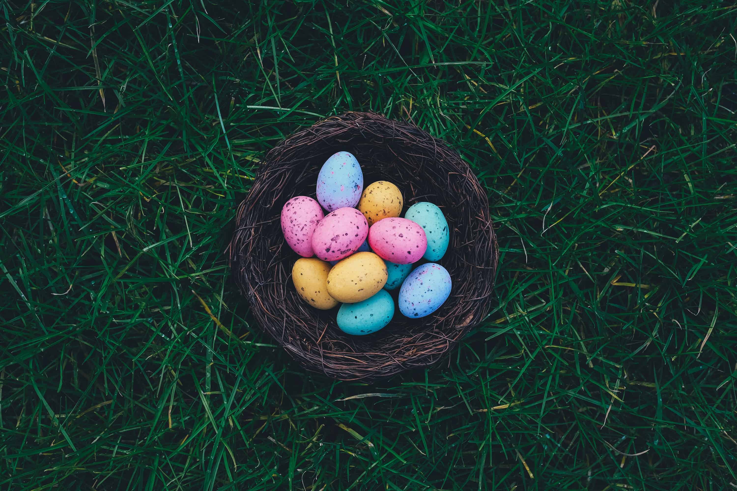 Easter eggs in brown nest on grass