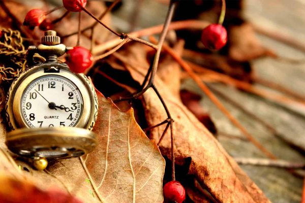 Time Change on Sunday, Nov. 1st (Saturday night!)