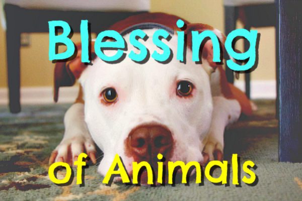 Blessing of the Animals